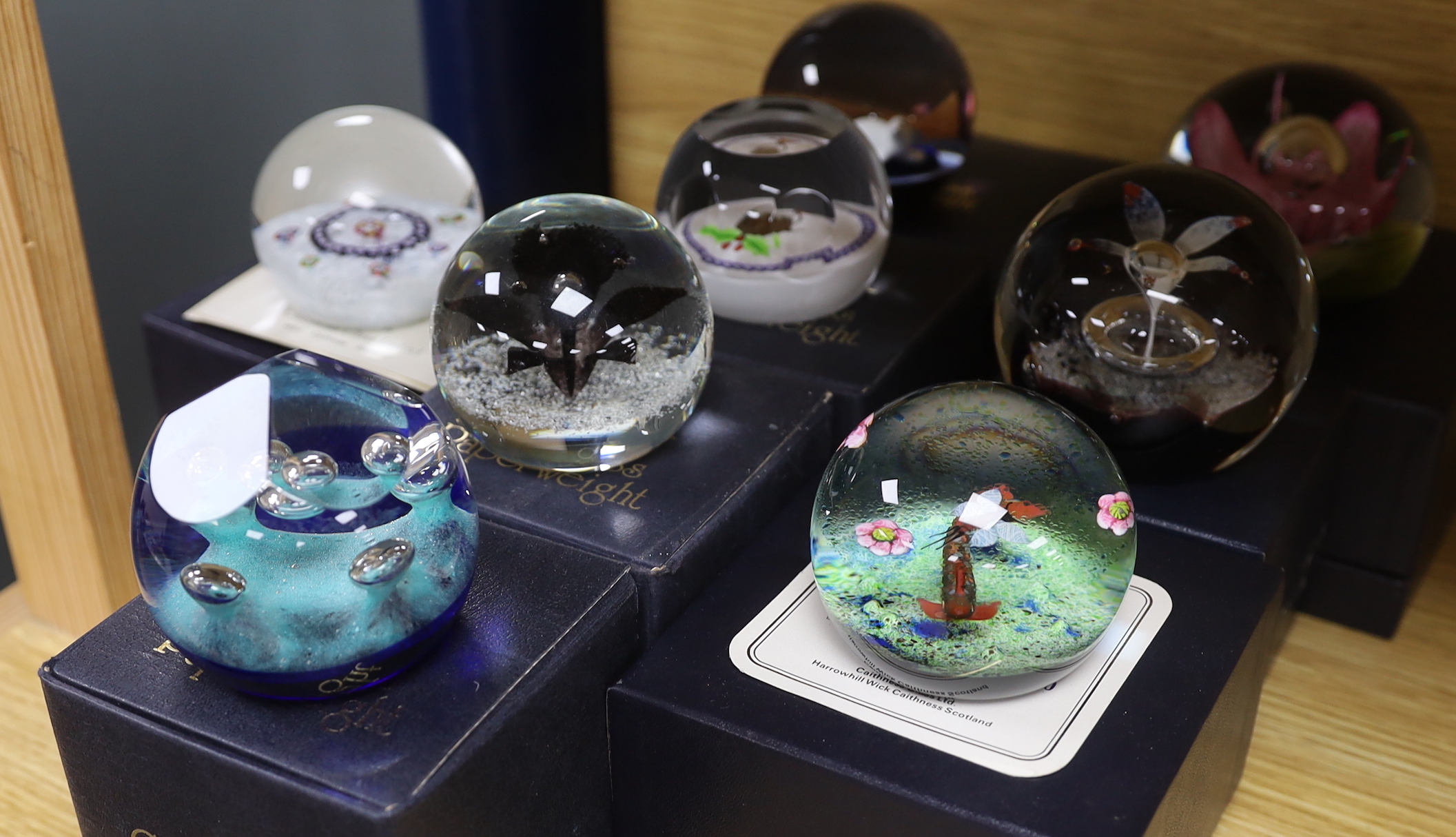 Eight Caithness paperweights, boxed, some limited edition, including Latticino